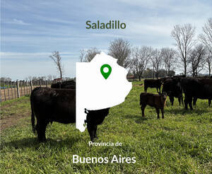 250 Has Saladillo Oportunidad