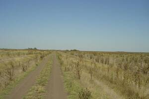 Campo en venta ganadero de 2500 Has General Madariaga, Buenos Aires