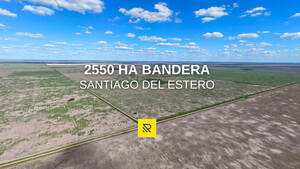 2550Ha Bandera