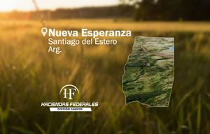 3.400 Has Ganaderas En Nueva Esperanza, Sgo. Del Estero