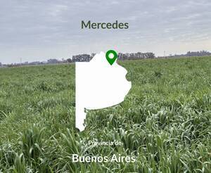 300 Hectáreas Agricolo-Ganaderas TOP Mercedes