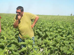 3258Ha Agricolas Soja Mani Girasol