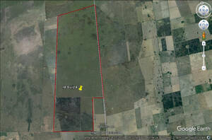 3400 Hectareas Selva / Ceres