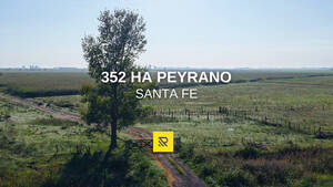 352Ha Peyrano Mixto