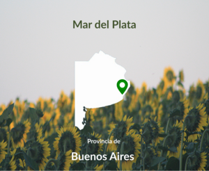 400 Has Mixtas Mar Del Plata