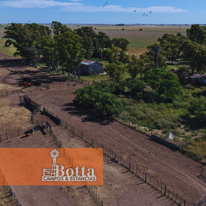 Campo agrícola en venta de 400 has en General San Martín, La Pampa