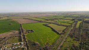 40ha Sobre Ruta 12