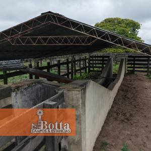 4438has ganaderas sobre ruta San Hilario, Formosa