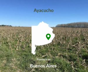 450 Has Ayacucho. Mixto. Oportunidad