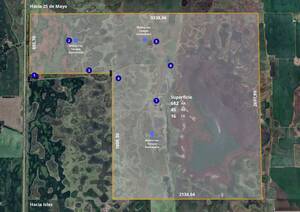 50% Indiviso - 682 Ha - Campo Mixto - 25 de Mayo