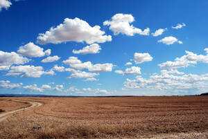 500 Ha San Cayetano Buenos Aires