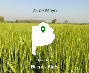 550 Has Agricolas 25 De Mayo