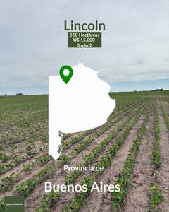 550 Has Agrícolas Suelo 2 Lincoln