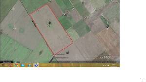 56 Has Agricolas Luis Palacios