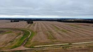 565 Has En Gral. Pueyrredón, Bs. As. - Agrícola - Venta