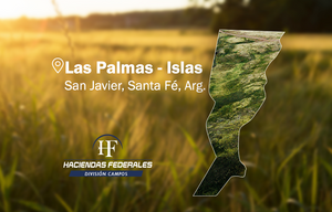 6.600 ha sobre el Río Paraná – San Javier, Santa Fe
