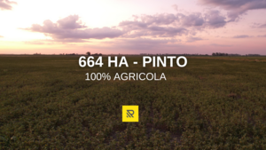 Campo en venta de 664 Hectáreas ubicado en Pinto, Santiago del Estero