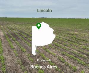 660 Hectáreas Lincoln. Agrícolas de Primer Nivel