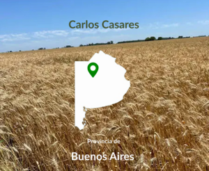 785 Has Mixtas Carlos Casares. OPORTUNIDAD