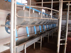 800Ha Agricolas Con Riego ,1000 Vacas Herrasmientas