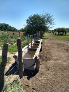 80Ha Campo Ganadero Forestal Pinto Santiago Del Estero