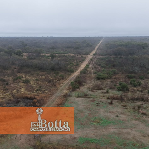 950 hectáreas en San Luis: Ubicación estratégica sobre autopista
