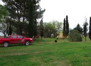 Campo en Venta Mixto 750 has Buenos Aires