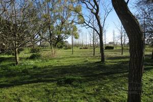 Campo en Venta Ganadero 100 has Alvarez Jonte