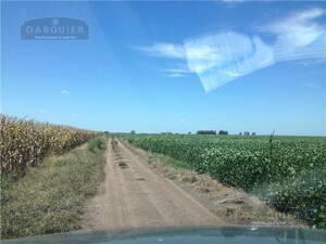 Campo en Venta Mixto 155 has Chascomús