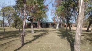 Campo En Venta En Concordia 906 Hs
