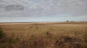 Campo En Venta En Herrera 192 Has