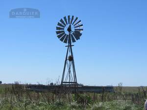 Campo en Venta Ganadero 184 has Rauch