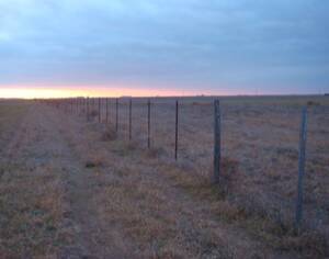Campo Mixto En Venta 204 Hectareas En Teniente Origone, Villarino.