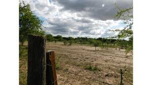 Campo En Venta De 25 Has A 1 Km De Merlo- San Luis