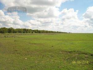 Campo en Venta Ganadero 452 has Dolores