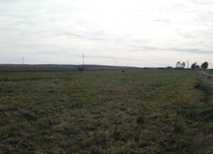 Campo En Venta Mixto 560 Has Bahía Blanca