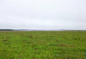 Campo Ganadero de 647 Has en Goya, Corrientes