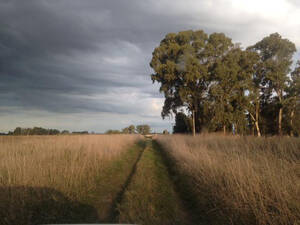 A 800M De R3 Y A 3Km De Las Flores