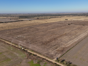 Agrícola Suelo 1/2. 43 Ha. San Jerónimo Del Sauce