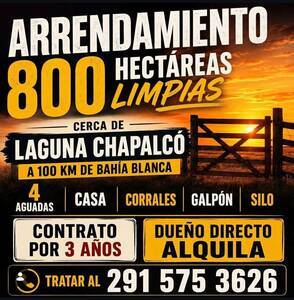 ALQUILER CAMPO- A 100KM DE BAHIA BLANCA- LAGUNA CHAPALCO
