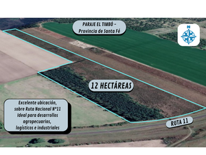 Alquiler de 12 Has s/Ruta 11 Paraje el Timbó (Sta Fe) - facilidades en el 1º año