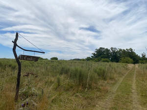 Alquiler De Campo Ganadero Agricola 42 Hectareas