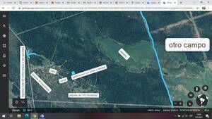 Alquilo campo 500 ha para ganaderia