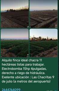 Alquilo finca ideal chacra