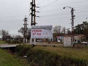 Alvear - 35 Ha - Santa Fe