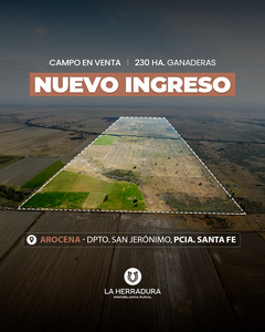 Arocena 230 Has Ganaderas. Instalaciones. Campo en Venta