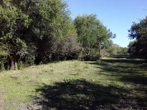 Alquiler De Campo Ganadero 1300 Hectáreas