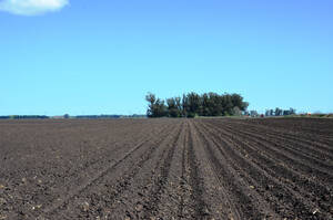 Ba1445 Venta Agricola 540 Ha. General Alvarado Miramar