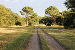 Campo Agrícola en venta 3.300 Hectáreas Saavedra, Buenos Aires