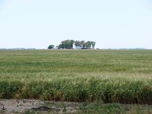 Ba3106 4800 Has. Mixto Mayormente Agricola Pila